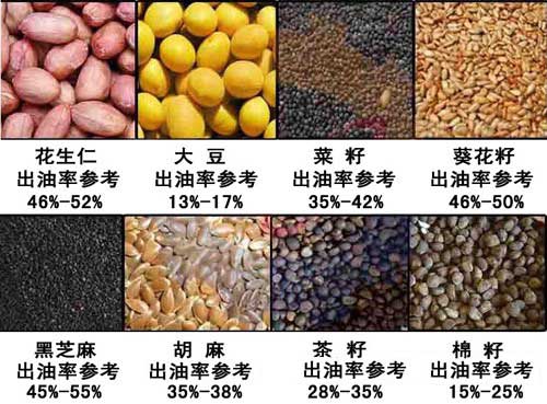 雙象榨油機出油率參考